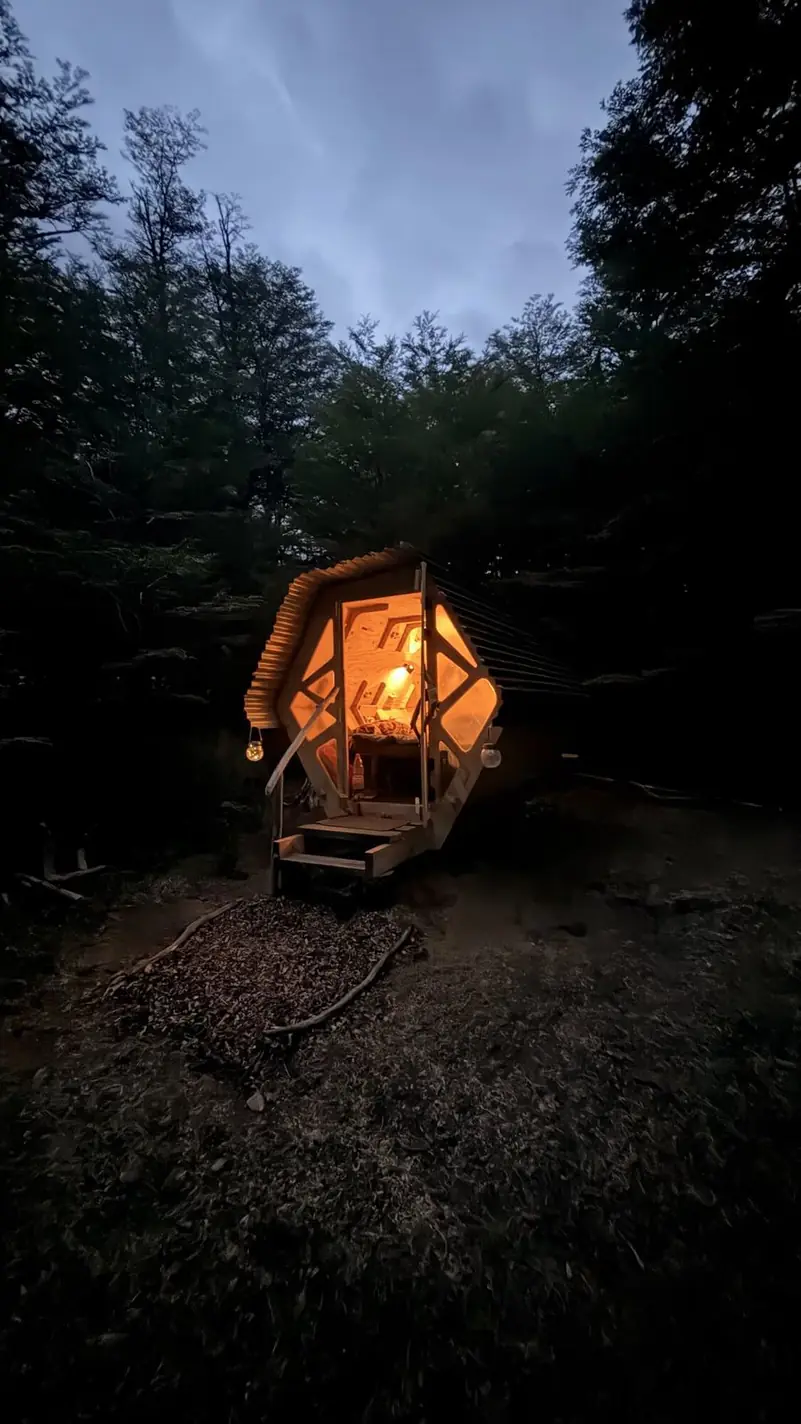 Encendido en el bosque