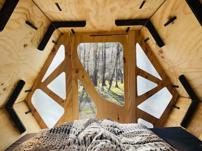 La puerta abierta al bosque